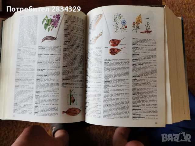 Класическа енциклопедия  Petit Larousse en couleures, 1980 г. , снимка 5 - Антикварни и старинни предмети - 41775222