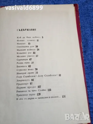 Иван Василев - Малкият учител , снимка 5 - Детски книжки - 48145171