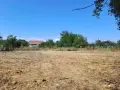 Селски имот в село Ливада, снимка 6