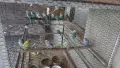 Вълнисти папагали, снимка 2
