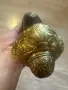 Капсулен пищов. , снимка 4