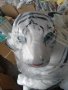 Голям бял тигър,120 см. , снимка 1