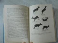 № 8158 Наръчник на ловеца и риболовеца – Земиздат, 1974 г. , снимка 4