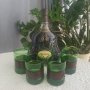 Английски зелени чаши за виски с кожа Англия, снимка 1 - Чаши - 41904472