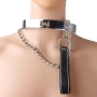 Метална огърлица с О-пръстен/колие с верижка за врата, комплект за обвързване, робски фетиш, косплей, снимка 1