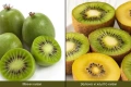 Киви - 10 вида, снимка 3