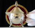 Посребрена каничка,сосиера с капак,бронз,позлата. , снимка 6