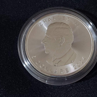 Канада 2024 - 5 долара - Кленов лист - 1 OZ – Сребърна монета, снимка 3 - Нумизматика и бонистика - 44811472