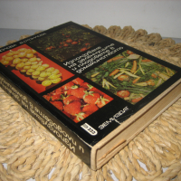 Използване на плодовете и зеленчуците в домакинството - 1970 г., снимка 2 - Други - 44913769