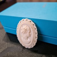 Превъзходна антикварна колекционерска френска брошка Камея- Depose , снимка 4 - Антикварни и старинни предмети - 42096956