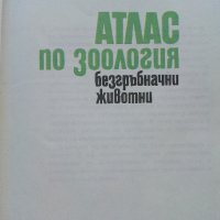 Атлас по зоология /Безгръбначни животни - П.Ангелов - 1982г. , снимка 3 - Енциклопедии, справочници - 42235687