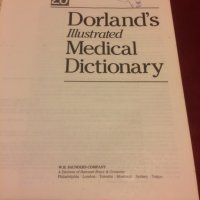 Медицински учебник.Dorland's illustrated Medical Dictionary 28.версия, снимка 3 - Специализирана литература - 35776907