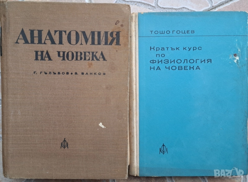 Антикварни книги:Анатомия на човека, Кратък курс по физиология на човека , снимка 1