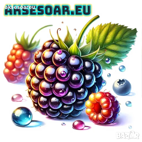 Висококачествени нови семена от хранителна Къпина без бодли Rubus rusticanus 50+ семена антиоксидант, снимка 1