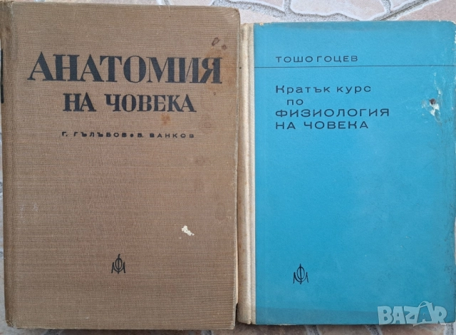 Антикварни книги:Анатомия на човека, Кратък курс по физиология на човека 