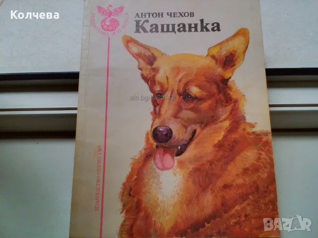 продавам книги всяка по 2 евро, снимка 18 - Художествена литература - 23415419