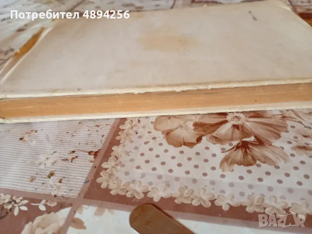 Устата ми хубава, очите ми зелени Джером Селинджър , снимка 3 - Художествена литература - 55835002