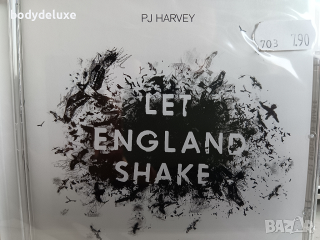 PJ HARVEY