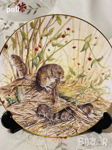 порцеланова чиния за стена , снимка 2 - Декорация за дома - 50857733