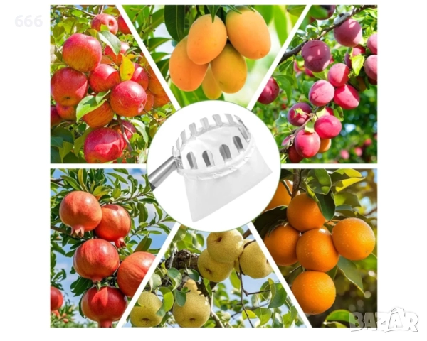 Берач на плодове, инструмент за бране на плодове, снимка 2 - Други инструменти - 52907350