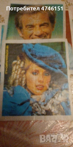 продавам картинки минти