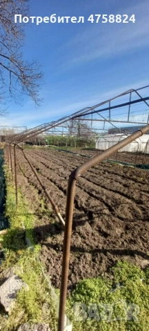 Оранжерия, снимка 3 - Оранжерии - 53755834