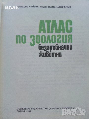 Атлас по зоология /Безгръбначни животни - П.Ангелов - 1982г. , снимка 3 - Енциклопедии, справочници - 42235687