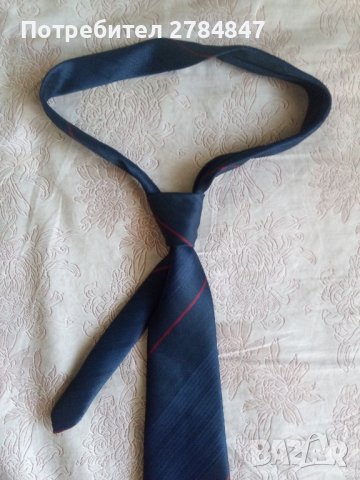 Вратовръзка Албена, снимка 2 - Други - 42677605