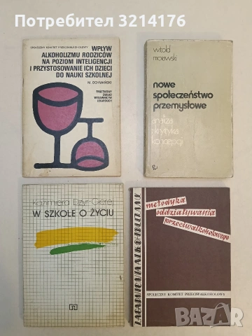 NOWE SPOŁECZEŃSTWO PRZEMYSŁOWE. ANALIZA I KRYTYKA KONCEPCJI -  Morawski (1975)