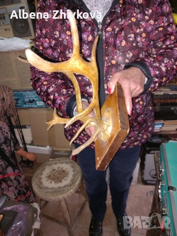 ловен трофей от 1976 г , снимка 2 - Ловно оръжие - 51972883