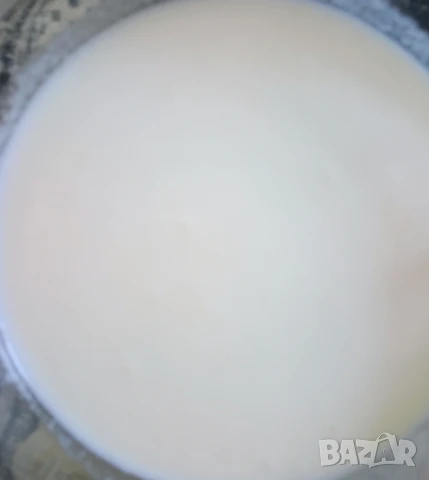 Кефирена тибетска гъба , снимка 2 - Домашни напитки - 50971022