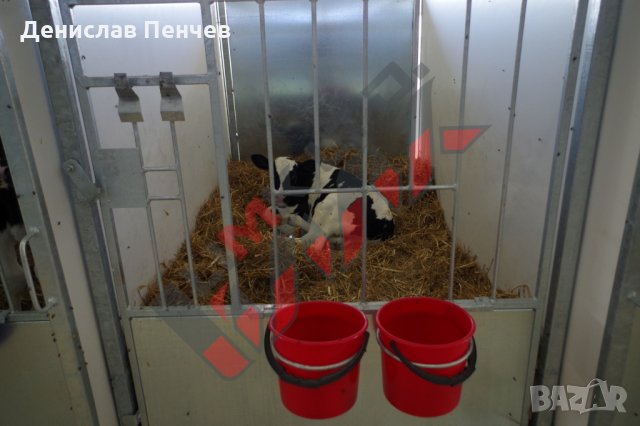 Клетки за телета, снимка 8 - За селскостопански - 34654632