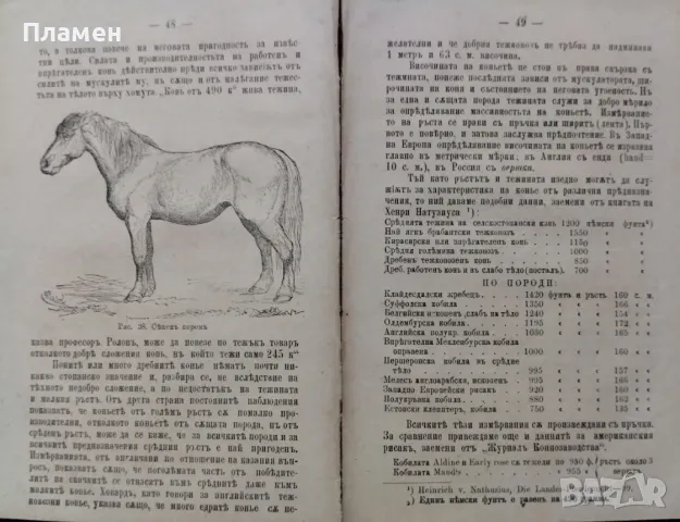 Коневъдство Павелъ Кулешовъ /1892/, снимка 6 - Антикварни и старинни предмети - 47534397