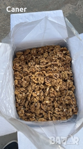 Орехова Ядка