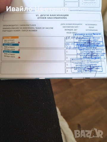 Алабай, снимка 4 - Алабай - 53655257