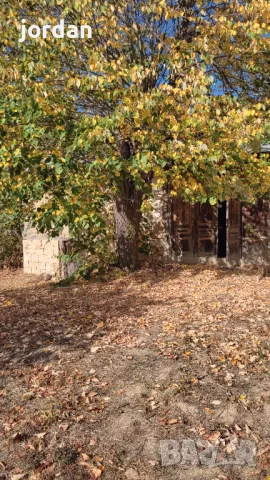 Продавам къща село Носово , снимка 10 - Къщи - 50225355