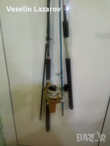 Черната Джермина Личното е 2.60., снимка 1