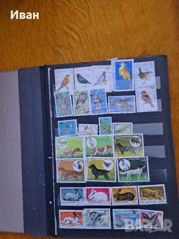 Пощенски Марки от България и чужбина., снимка 10 - Филателия - 51777853