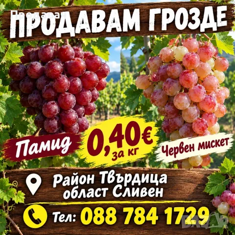Продавам грозде за вино и ракия район Твърдица област Сливен