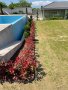 Дървесен мулч , снимка 16