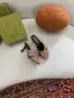 Gucci Дамски Затворени Чехли С Ток И Кристали Гучи - Различни Цветове Код SEM-811, снимка 6