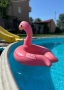 Надуваемо фламинго, 115х115см, снимка 1