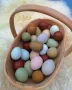 Цветни разплодни яйца, пъстри и разноцветни , снимка 8