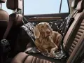 НОВИ! Протектор за задна седалка тип столче за кучета домашни любимци, снимка 5