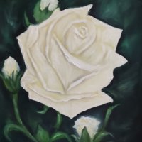 Бяла роза маслена картина, снимка 2 - Картини - 34679639