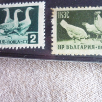 Пощенски марки, снимка 6 - Филателия - 36338689