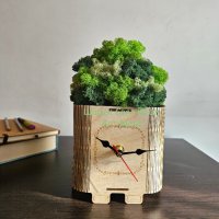 Разкошен Часовник "Пънче" със Скандинавски мъх , снимка 1 - Декорация за дома - 42652812