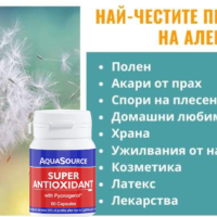 AquaSource Super Antioxidant, снимка 1 - Хранителни добавки - 44776497