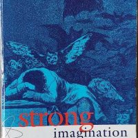 Strong Imagination: Madness, Creativity and Human Nature (Daniel Nettle), снимка 1 - Други - 41441063