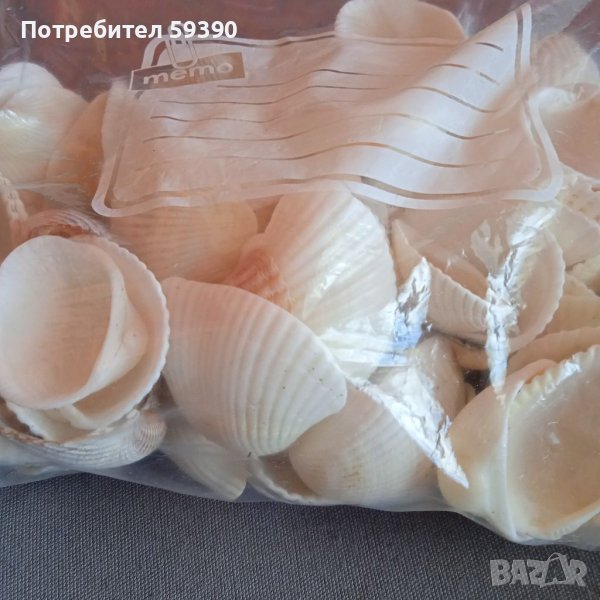 Черноморски мидени черупки , снимка 1